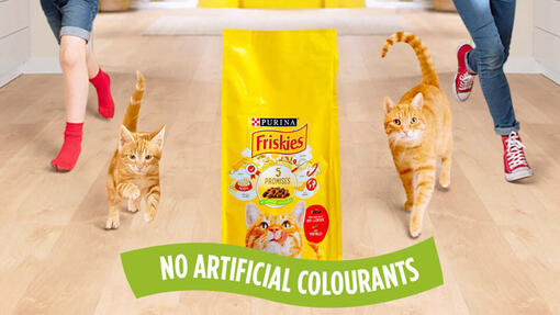 5 promessas Purina® FRISKIES Gato