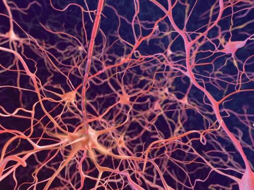neurônios em um fundo escuro