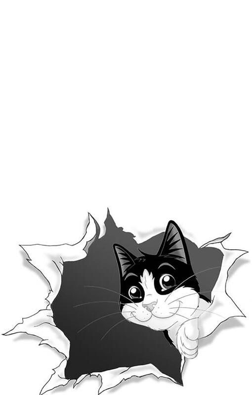 Gato Félix