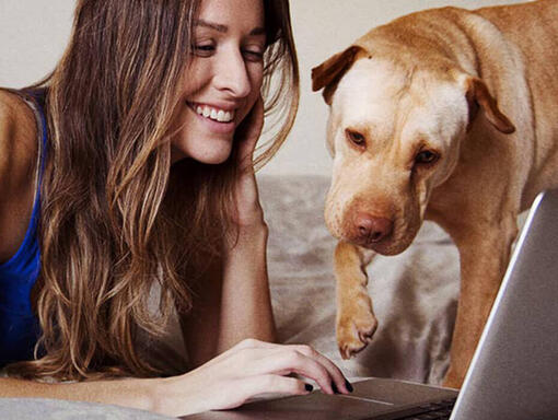 Mulher e cachorro no laptop