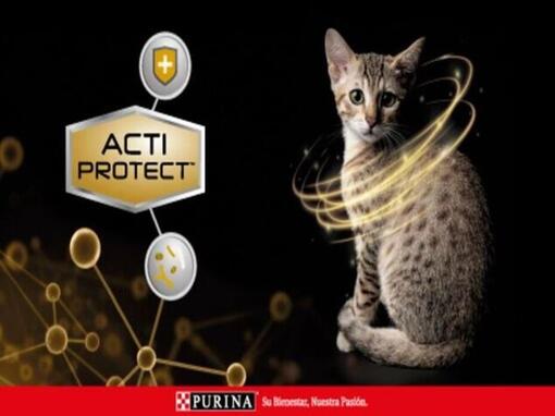 PRO PLAN Expert Care Nutrition para gatos