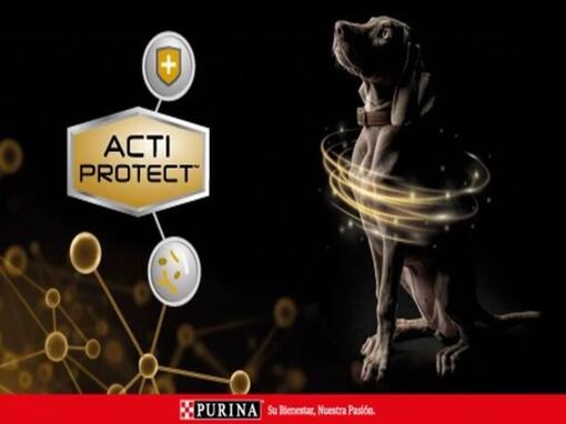 Acti Protect