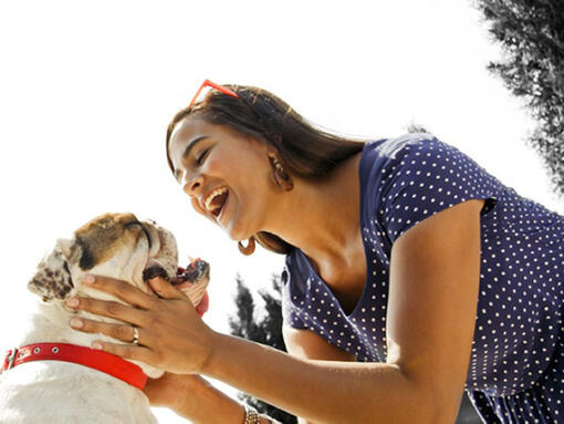 Mulher conversando com buldogue