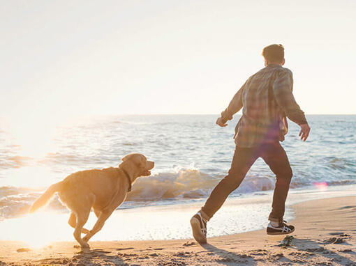 Homem e cachorro a correr na praia