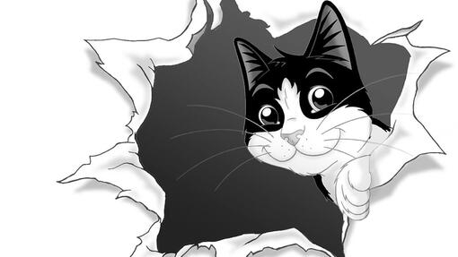 Felix comida para gato​
