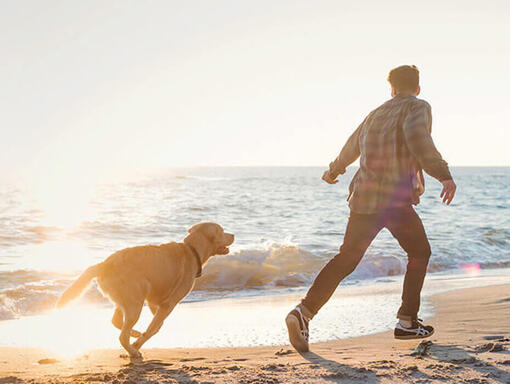 Homem e cachorro a correr na praia