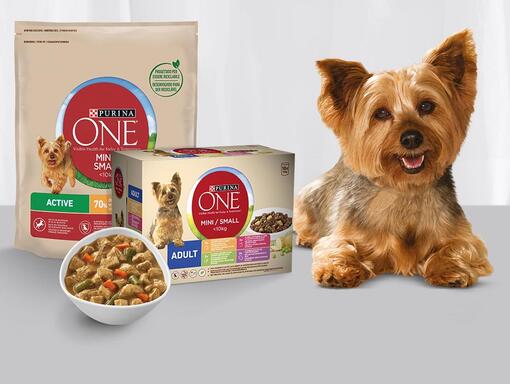 Purina ONE Mini/Small