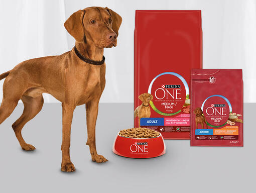 Purina ONE Medium/Maxi