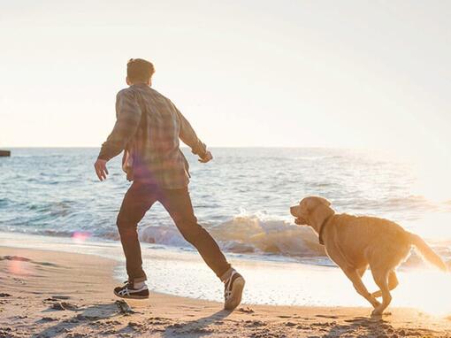 Homem a correr com Labrador na praia