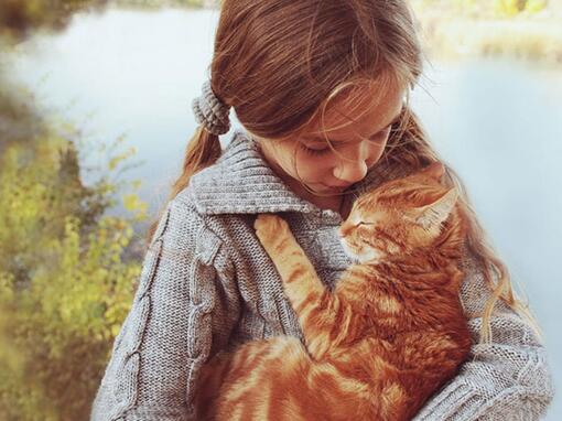 Criança a abraçar o gato laranja