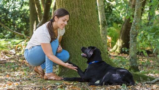 Mulher agachada com cachorro perto de uma árvore