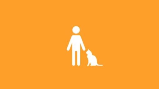 Infográfico de pessoa e gato