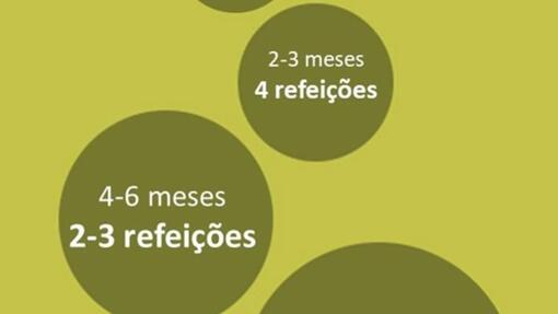 Quantas refeições por dia deve ter um cachorro