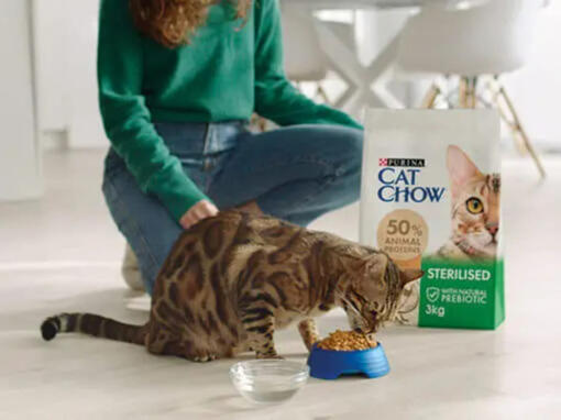 Comida Purina Cat Chow para gatos esterilizados​