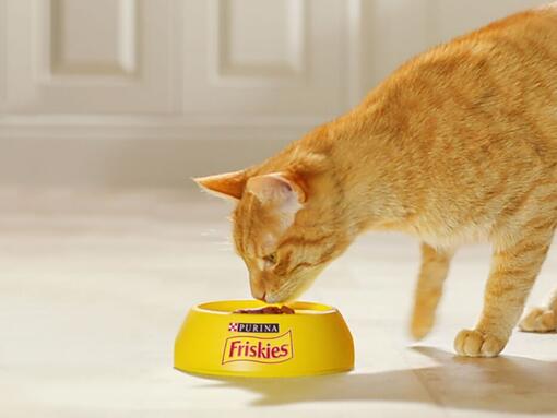 Alimento Seco Purina® FRISKIES Gato