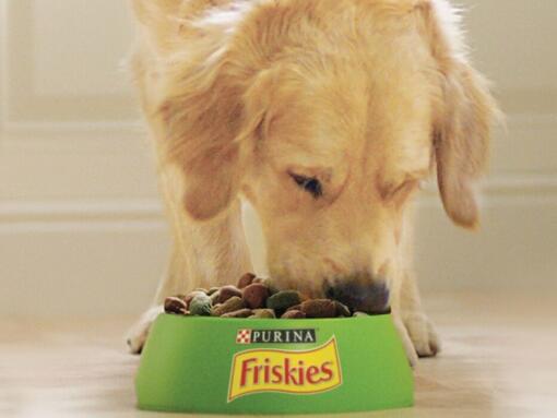 Alimento Seco Purina® FRISKIES Cão