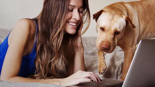 Mulher e cachorro no laptop