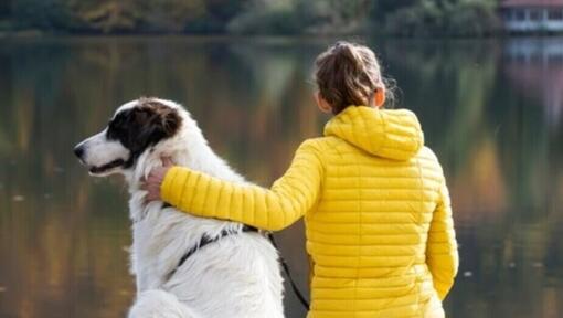 mulher com cachorro