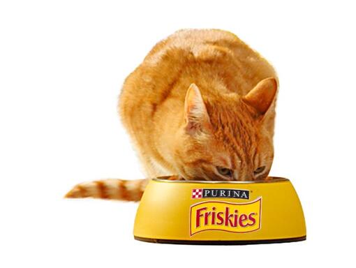 Friskies