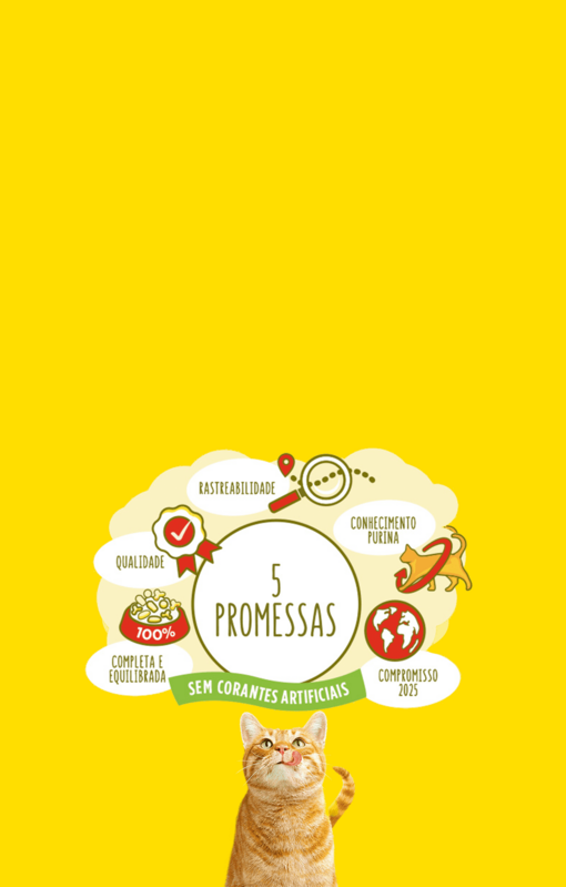 As 5 Promessas Friskies® 