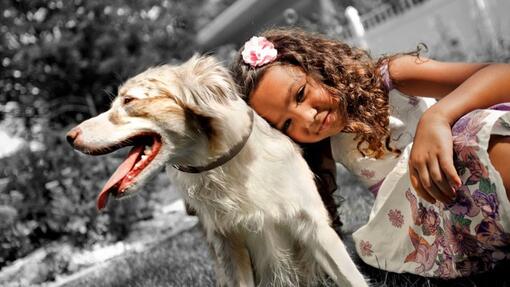 Criança a sorrir junto a um cão