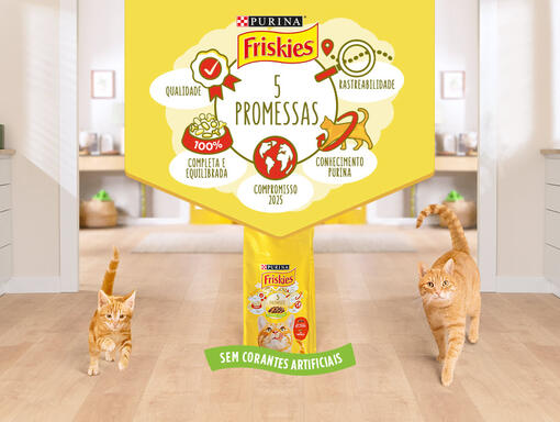 Friskies para gatos