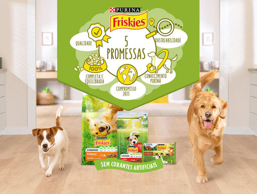 Friskies para cães