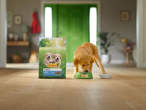 PURINA® FRISKIES® CÃO Junior