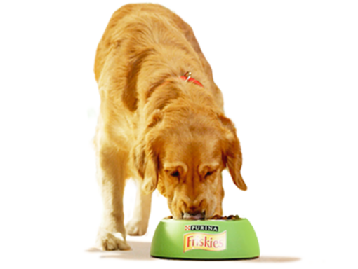 PURINA® FRISKIES® CÃO Adulto