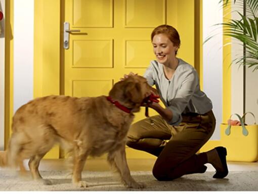 PURINA® FRISKIES® CÃO Snacks