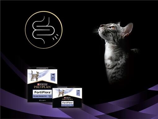 Pro Plan® FortiFlora para GATO