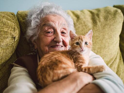 Mulher velha com um gato