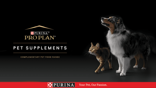 PRO PLAN®. A escolha de tutores únicos para cães e gatos extraordinários