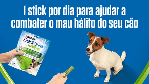 1 stick por dia para ajudar a combater o mau hálito do seu cão