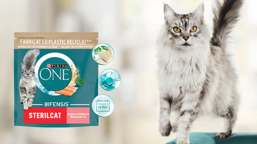 Purina ONE® Bifensis®