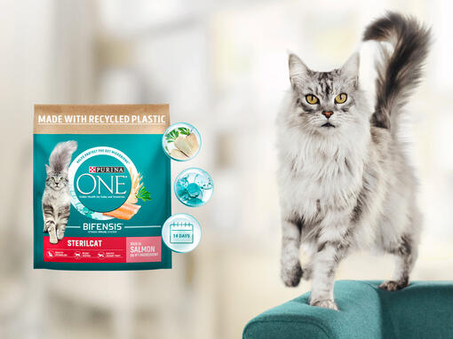 Purina ONE®Bifensis®