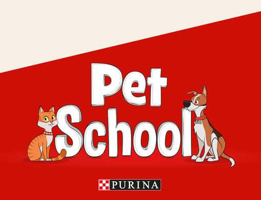Petschool