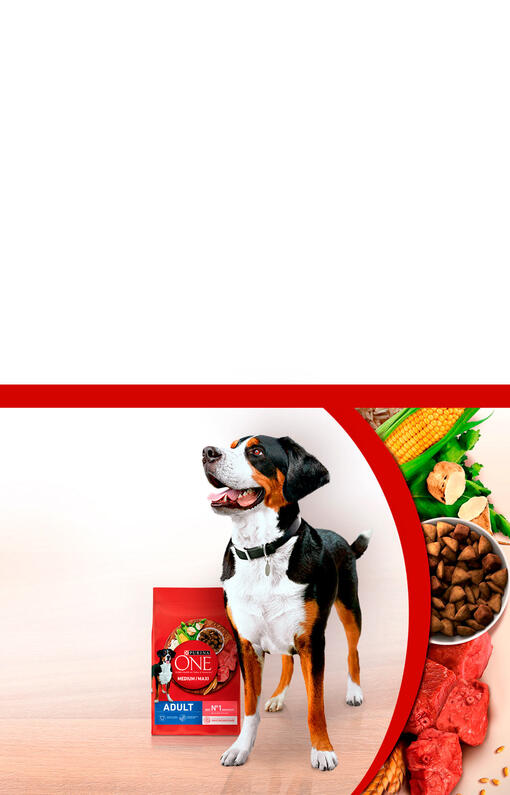 Purina One Dog para cão médio/grande