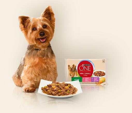 Purina One Dog para cachorros pequenos