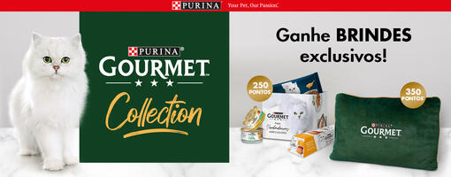Gourmet Collection