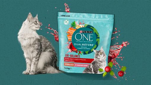 Descubra toda a gama PURINA ONE® DualNature™