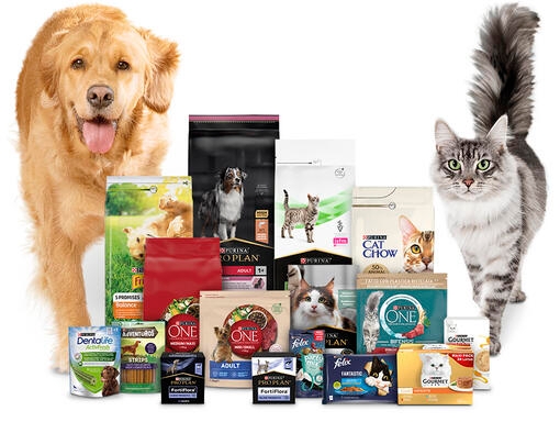Conheça a gama PURINA e todas as ofertas que temos para si
