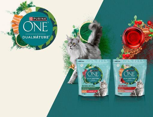 PURINA ONE DUAL NATURE