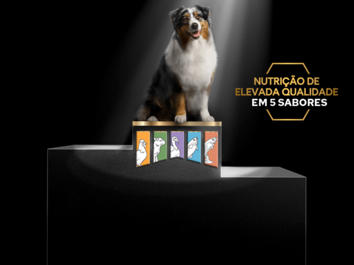 PRO PLAN® Flavours and Ingredients