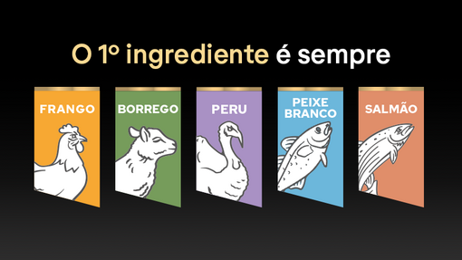 Pro Plan dog food flavours