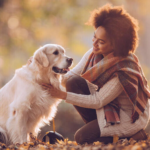 mulher com golden retriever no parque