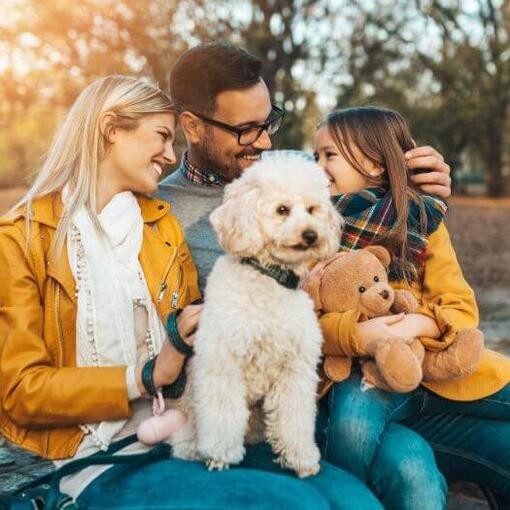 Caniche Miniatura sentado com a família