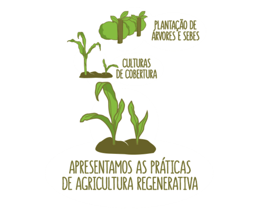 Apresentamos as Práticas de Agricultura Regenerativa