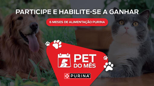 Purina Pet do Mês