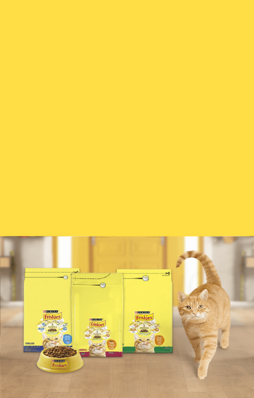 5 promessas Purina® FRISKIES Gato